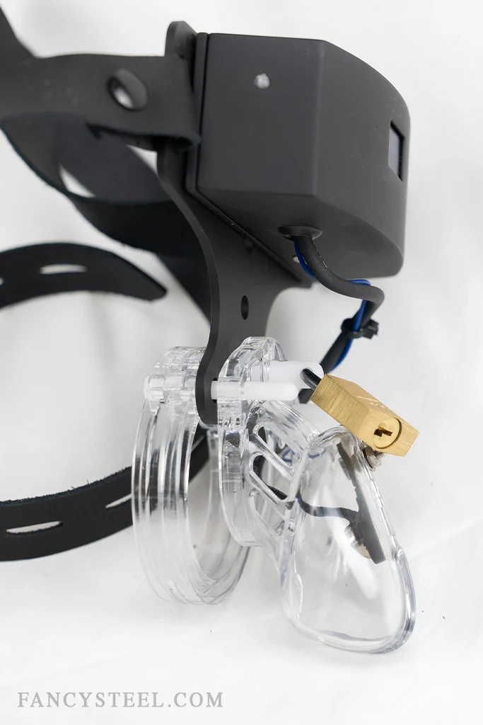 Advanced Chastity Trainer - Image 11