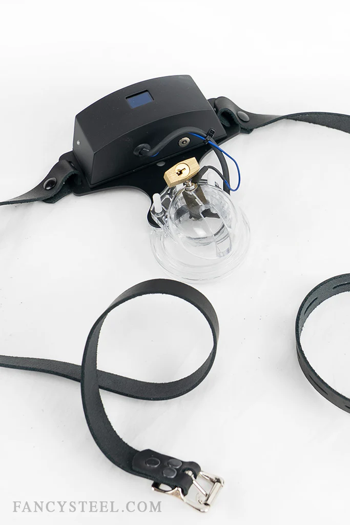 Advanced Chastity Trainer - Image 12