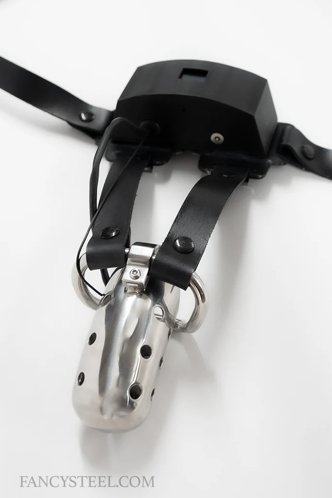 Advanced Chastity Trainer - Image 13