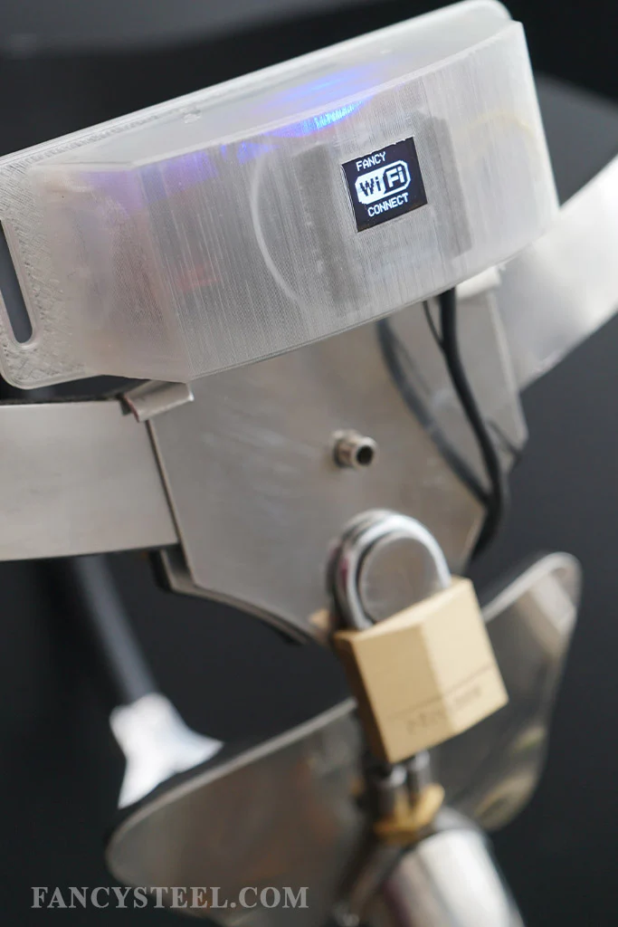 Advanced Chastity Trainer - Image 14