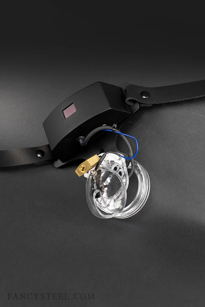 Advanced Chastity Trainer - Image 15