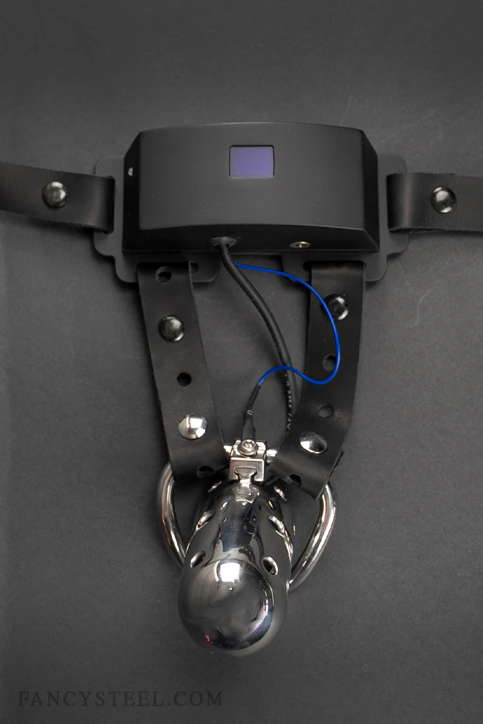 Advanced Chastity Trainer - Image 8