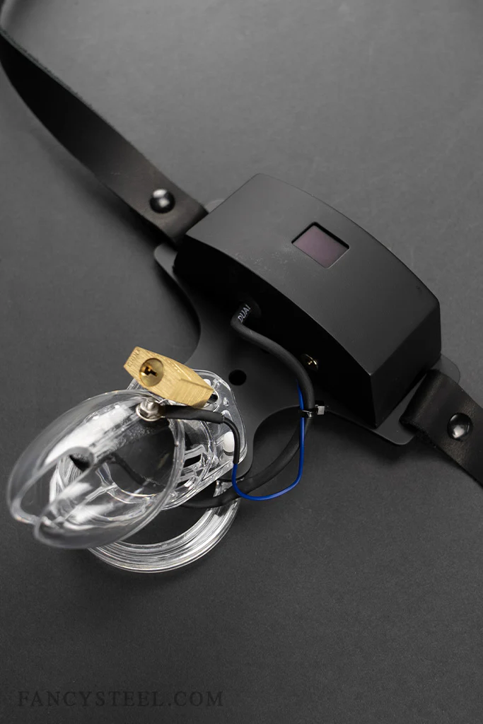 Advanced Chastity Trainer - Image 9