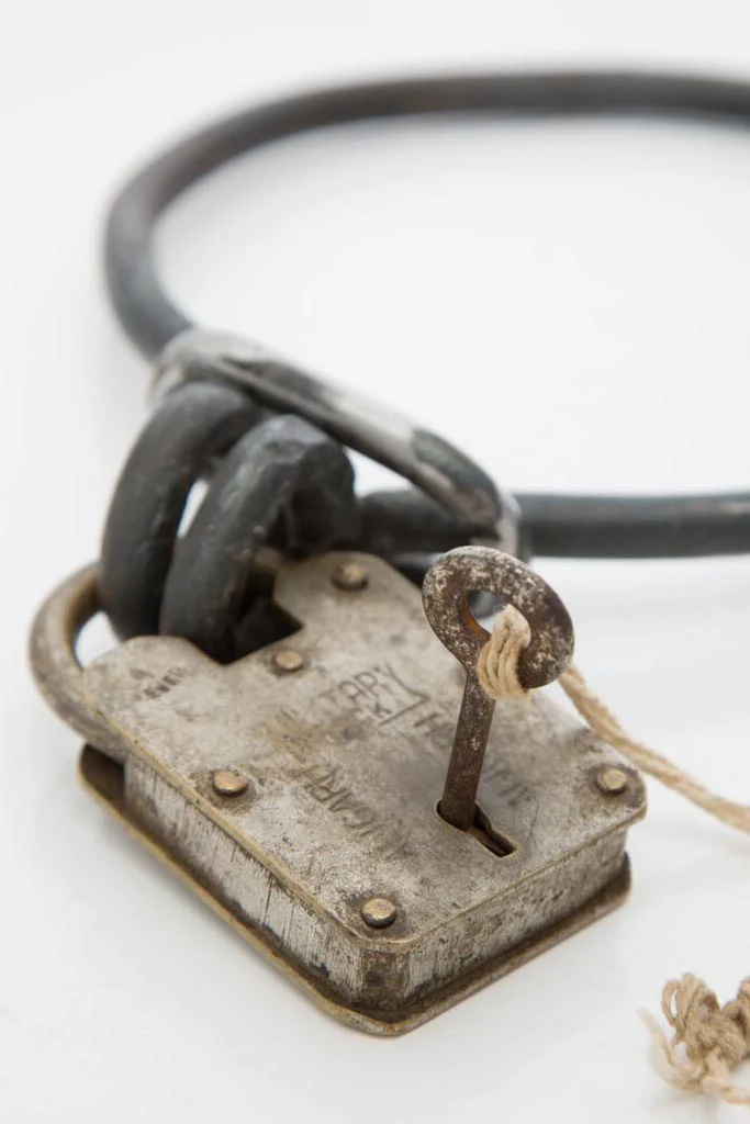 Chain Gang Girls - Collar - Image 5