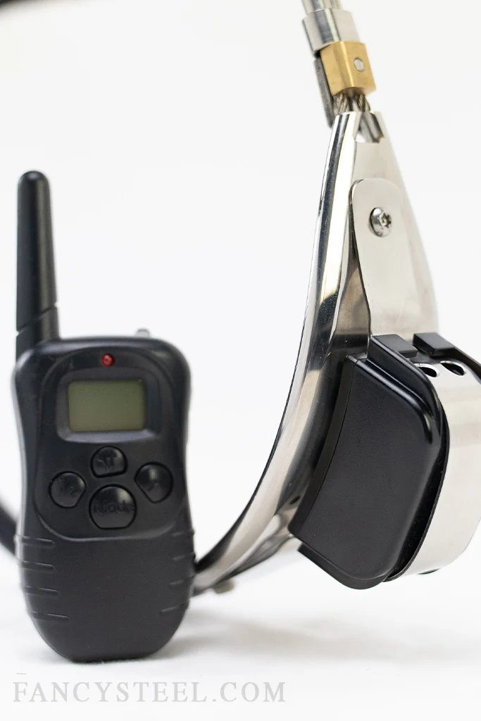 Elise Graves Chastity Belt Movie Prop - Image 4