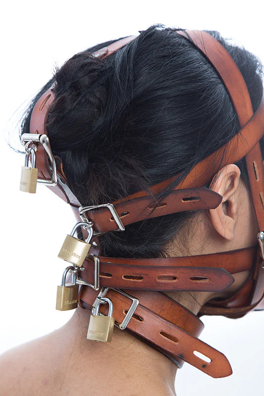 Fancy Leather Muzzle Head Harness - Image 10
