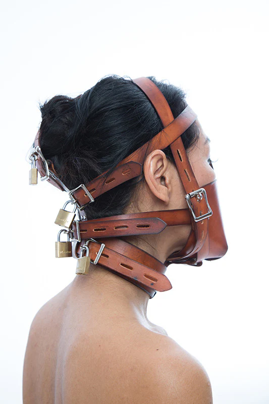Fancy Leather Muzzle Head Harness - Image 11