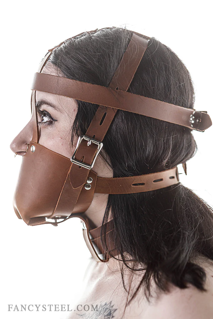 Fancy Leather Muzzle Head Harness - Image 3