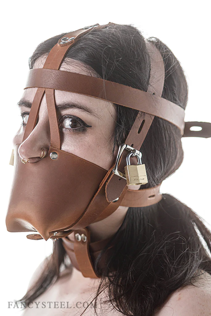 Fancy Leather Muzzle Head Harness - Image 5