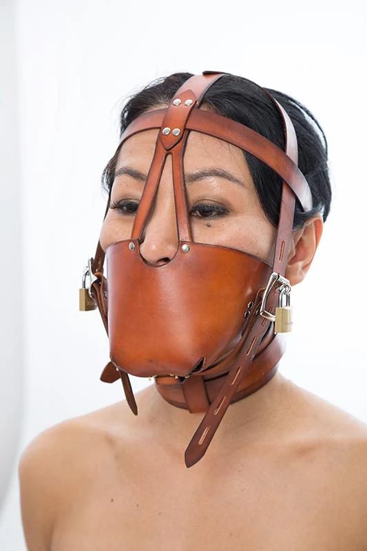 Fancy Leather Muzzle Head Harness - Image 6