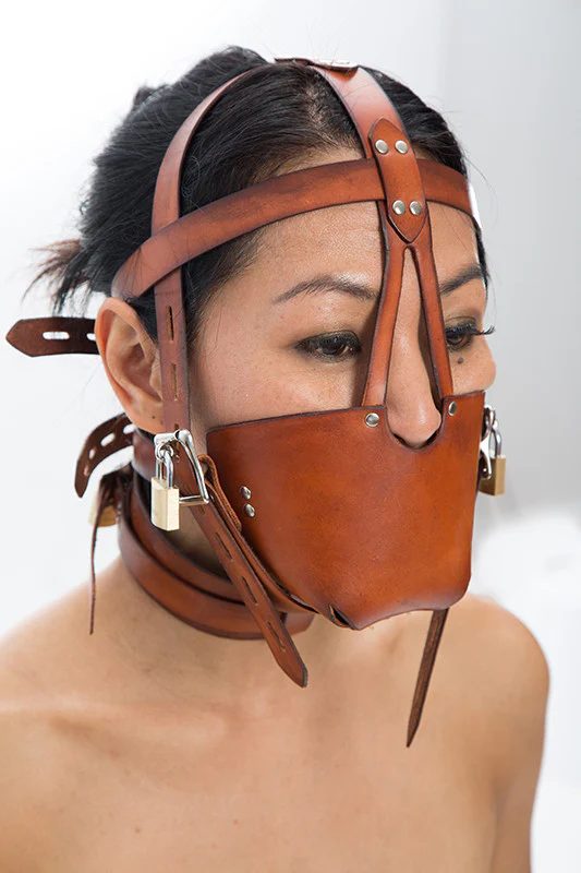 Fancy Leather Muzzle Head Harness - Image 8