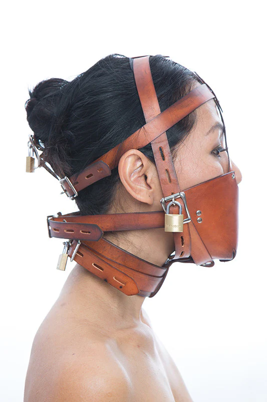 Fancy Leather Muzzle Head Harness - Image 9