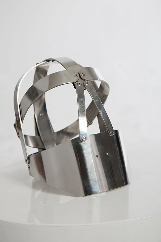 Fancy Steel Head Cage - Image 3