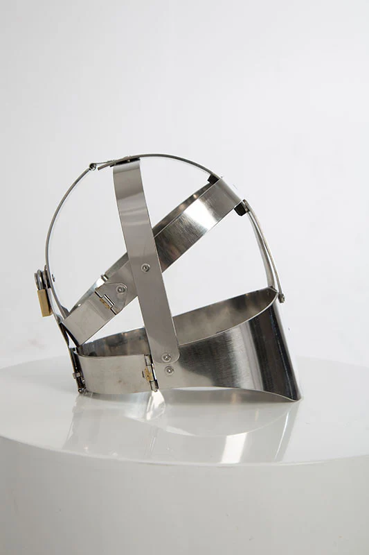 Fancy Steel Head Cage - Image 5