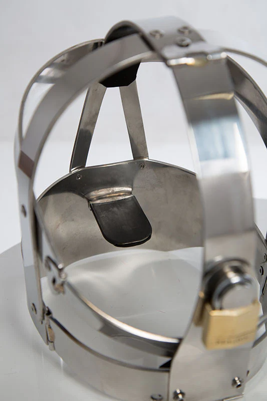 Fancy Steel Head Cage - Image 8