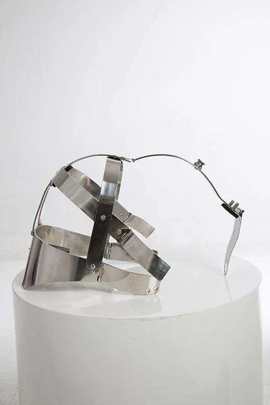 Fancy Steel Head Cage - Image 9