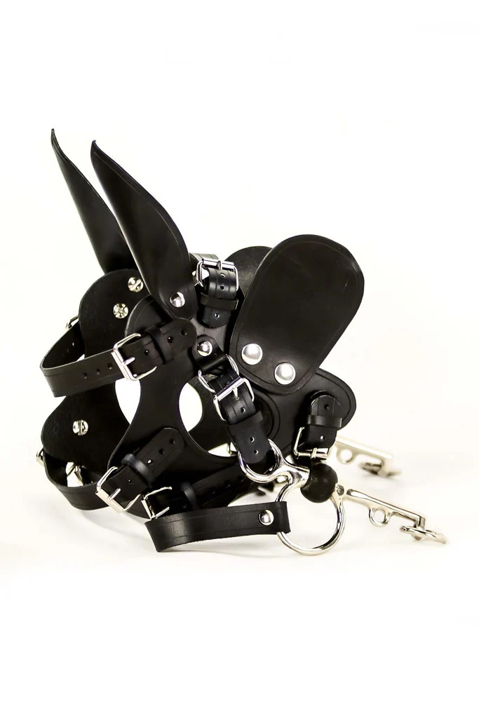Leather Pony Harness - Image 11