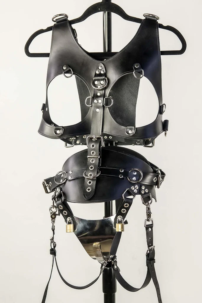 Leather Pony Harness - Image 12