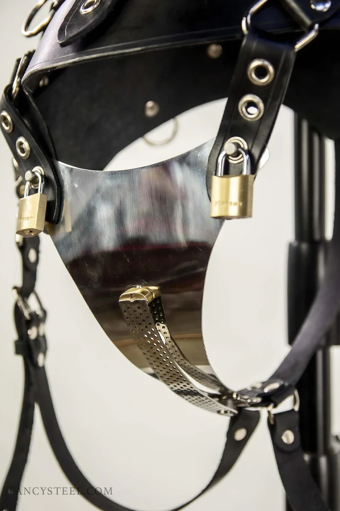 Leather Pony Harness - Image 9