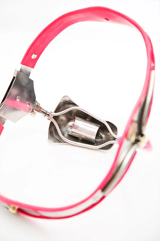 Sissy Chastity Belt - Image 24
