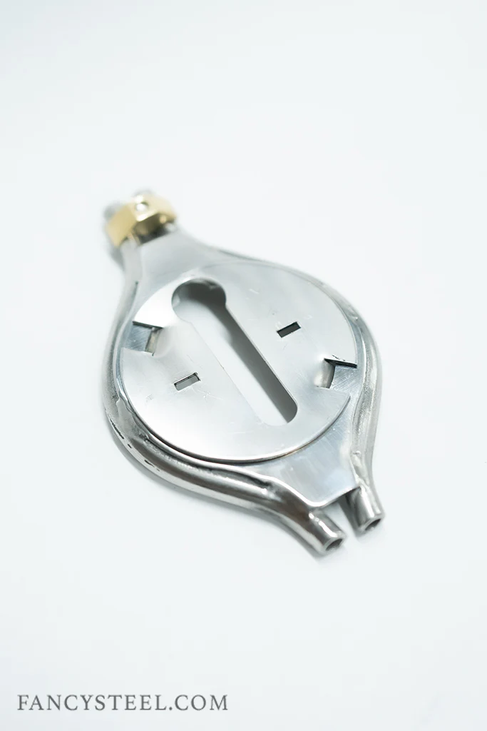 Sissy Chastity Belt - Image 30