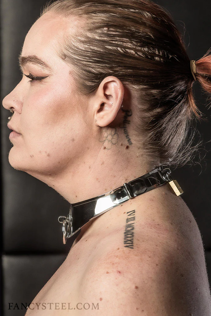 Submissive collar - Image 11