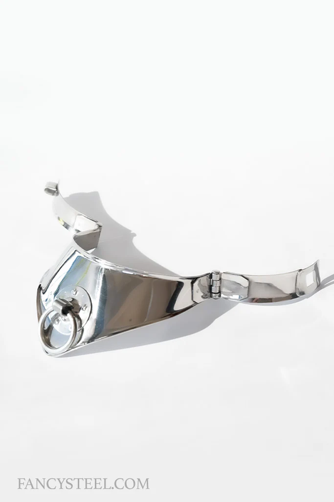 Submissive collar - Image 6