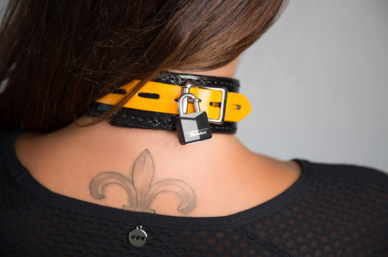 Shock Training Collar - Image 10