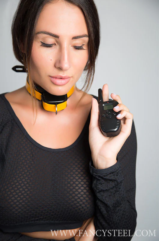 Shock Training Collar - Image 15