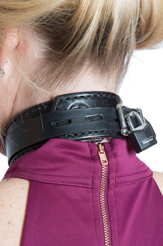 Shock Training Collar - Image 4