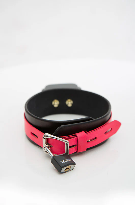 Shock Training Collar - Image 5