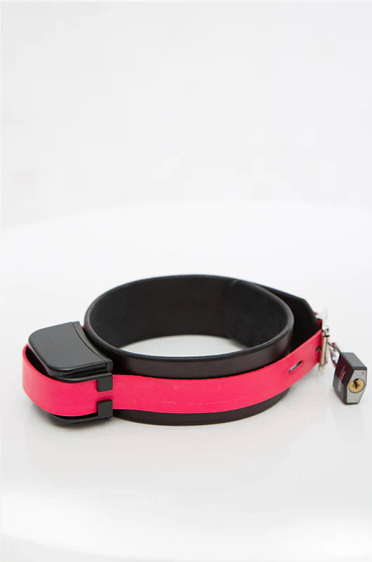 Shock Training Collar - Image 9